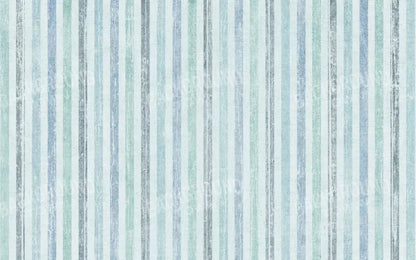 Braxton 14X9 Ultracloth ( 168 X 108 Inch ) Backdrop