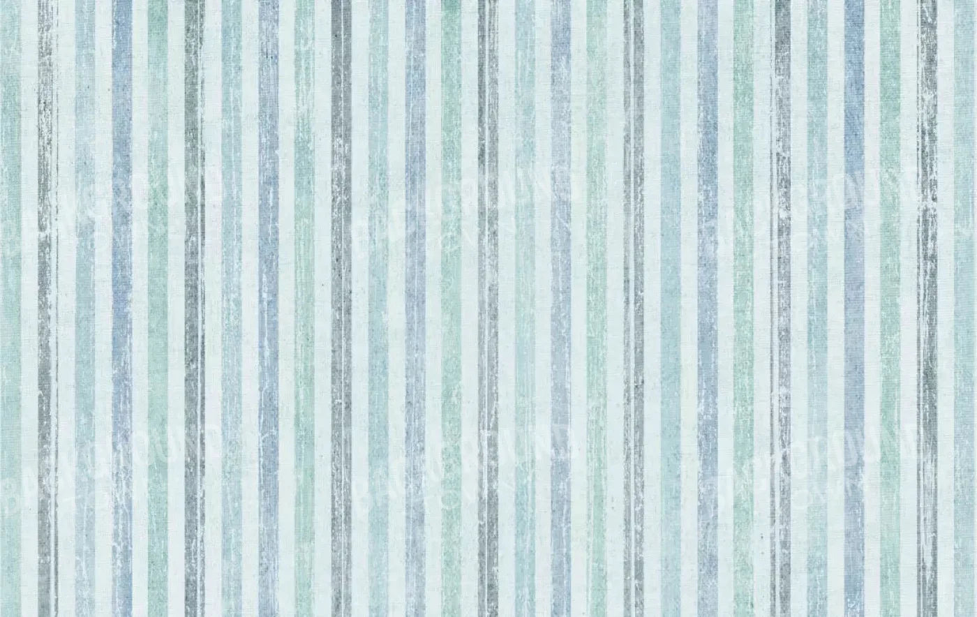 Braxton 16X10 Ultracloth ( 192 X 120 Inch ) Backdrop