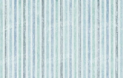 Braxton 16X10 Ultracloth ( 192 X 120 Inch ) Backdrop