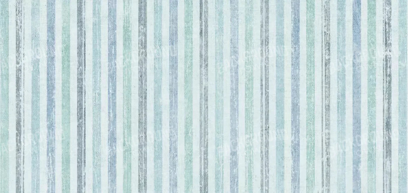 Braxton 16X8 Ultracloth ( 192 X 96 Inch ) Backdrop