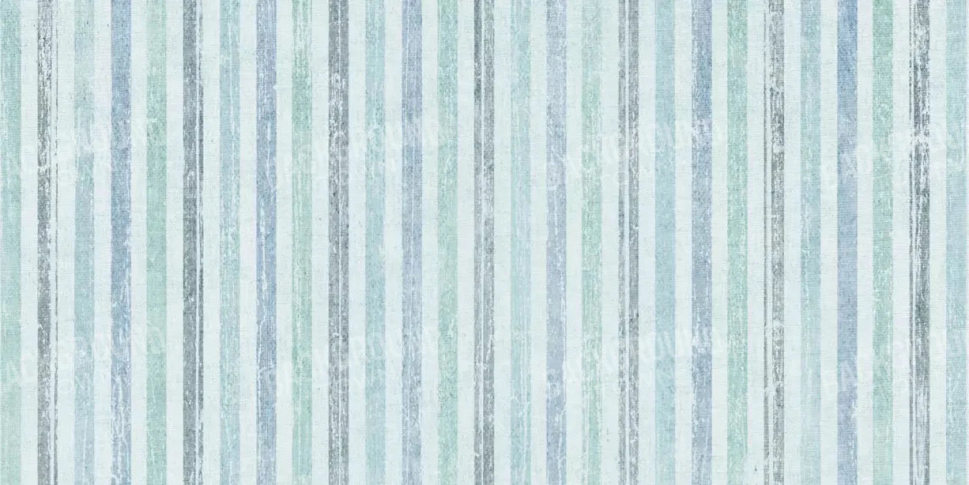 Braxton 20X10 Ultracloth ( 240 X 120 Inch ) Backdrop