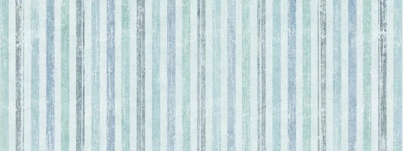 Braxton 20X8 Ultracloth ( 240 X 96 Inch ) Backdrop