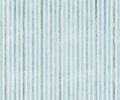 Braxton 5X42 Fleece ( 60 X 50 Inch ) Backdrop