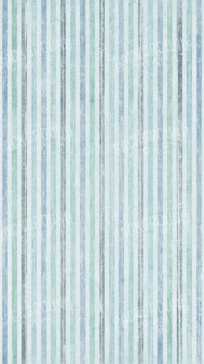 Braxton 8X14 Ultracloth ( 96 X 168 Inch ) Backdrop