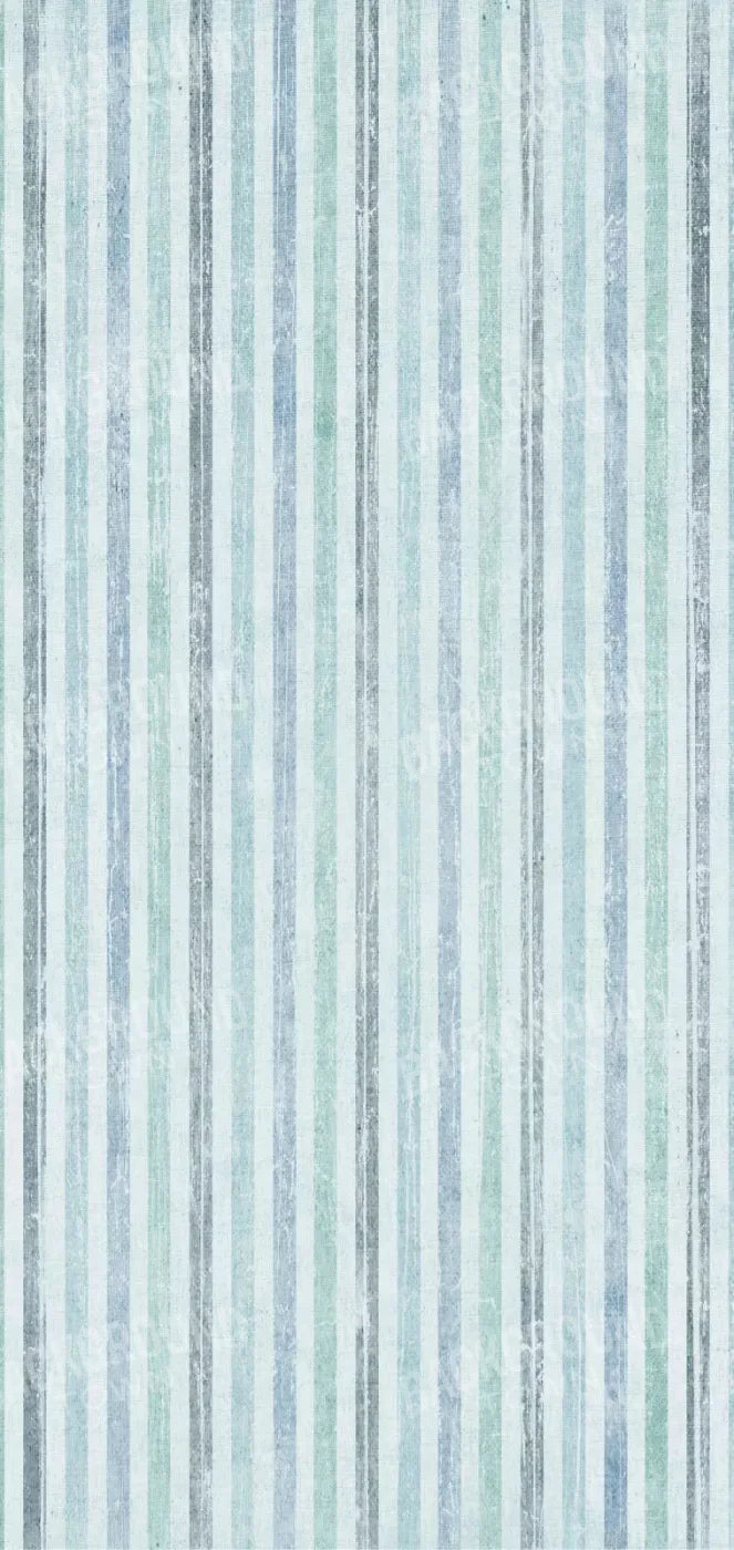 Braxton 8X16 Ultracloth ( 96 X 192 Inch ) Backdrop