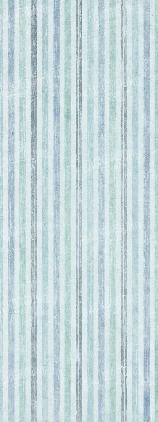 Braxton 8X20 Ultracloth ( 96 X 240 Inch ) Backdrop