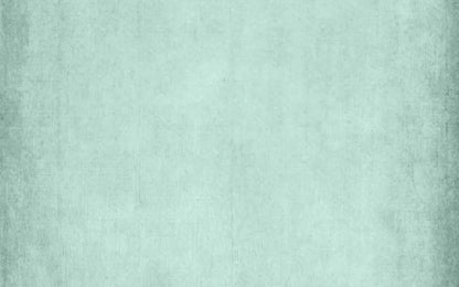 Brayden Mint 14X9 Ultracloth ( 168 X 108 Inch ) Backdrop