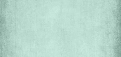 Brayden Mint 16X8 Ultracloth ( 192 X 96 Inch ) Backdrop