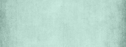 Brayden Mint 20X8 Ultracloth ( 240 X 96 Inch ) Backdrop