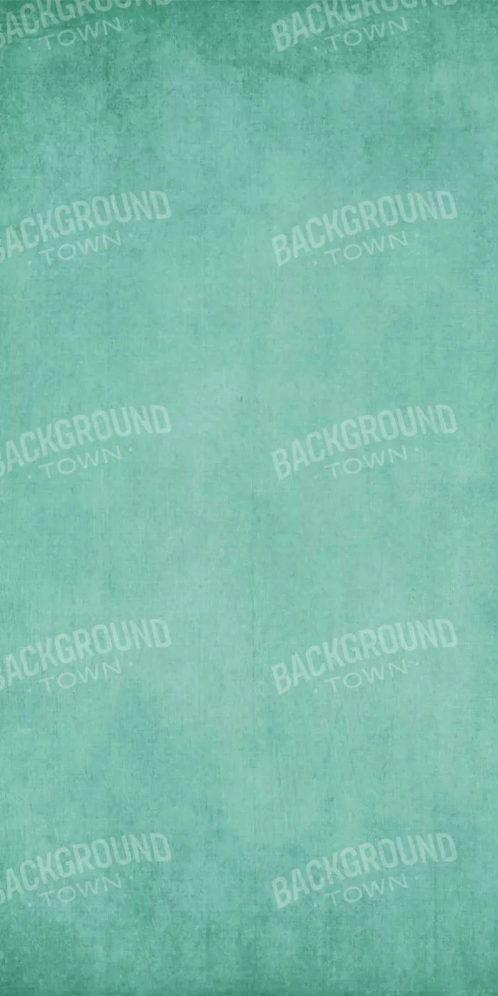 Brayden Teal 10X20 Ultracloth ( 120 X 240 Inch ) Backdrop