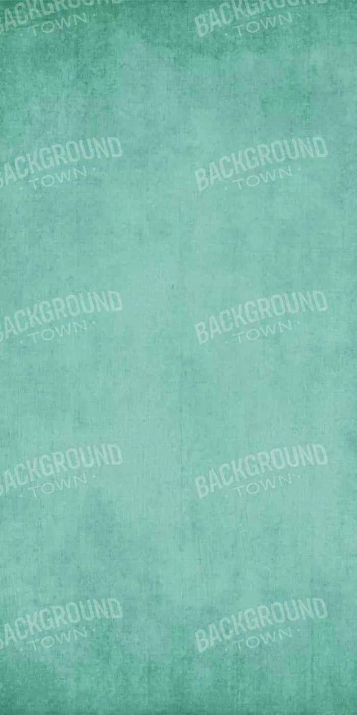 Brayden Teal 10X20 Ultracloth ( 120 X 240 Inch ) Backdrop