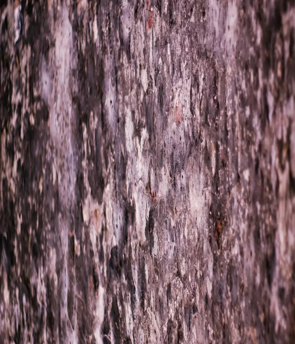Breach 10X12 Ultracloth ( 120 X 144 Inch ) Backdrop