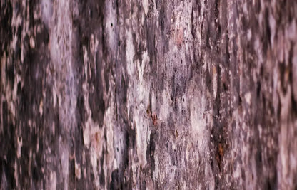 Breach 12X8 Ultracloth ( 144 X 96 Inch ) Backdrop