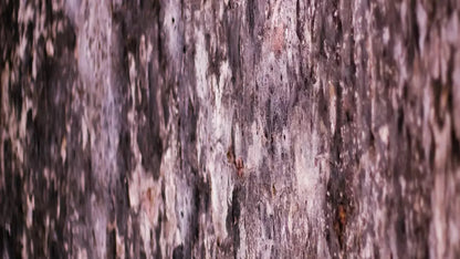 Breach 14X8 Ultracloth ( 168 X 96 Inch ) Backdrop