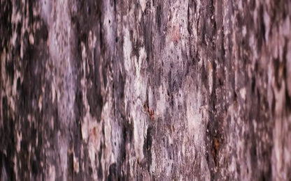 Breach 14X9 Ultracloth ( 168 X 108 Inch ) Backdrop