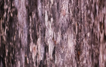 Breach 16X10 Ultracloth ( 192 X 120 Inch ) Backdrop