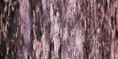 Breach 20X10 Ultracloth ( 240 X 120 Inch ) Backdrop