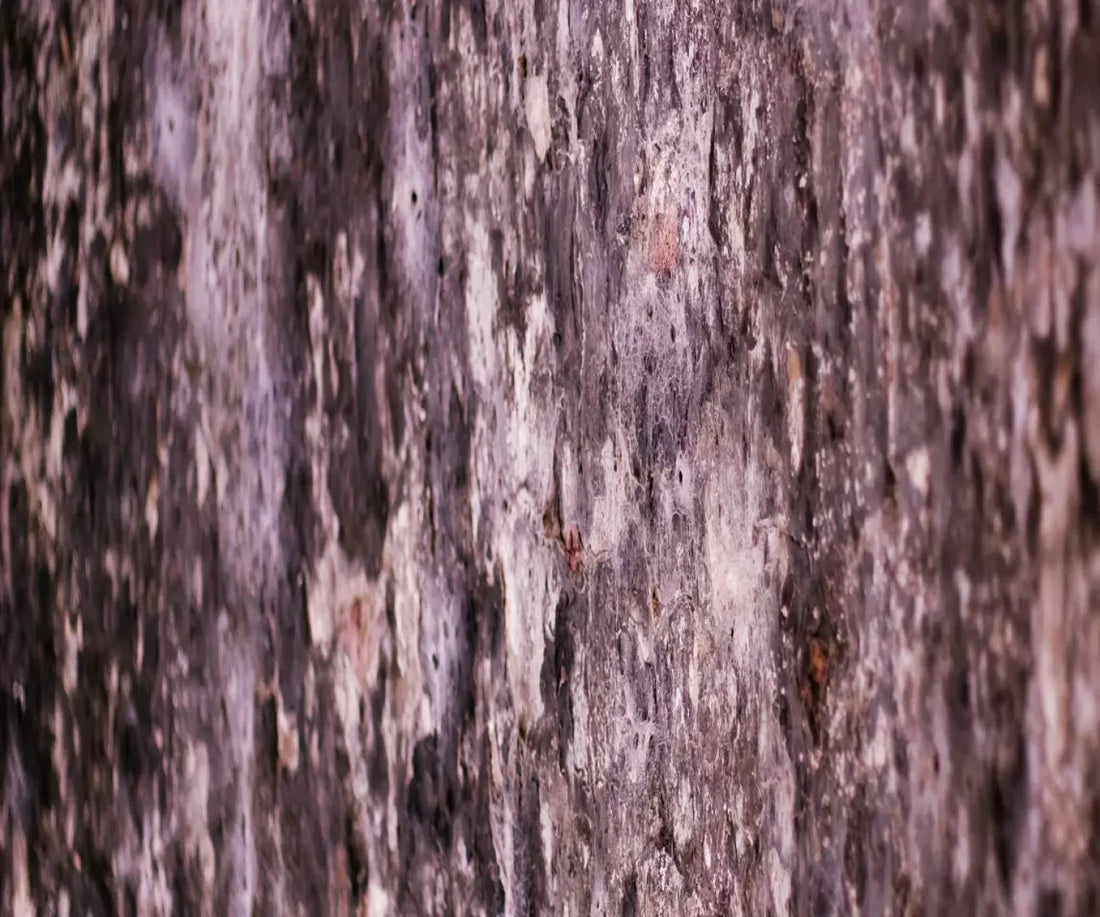 Breach 5X42 Fleece ( 60 X 50 Inch ) Backdrop