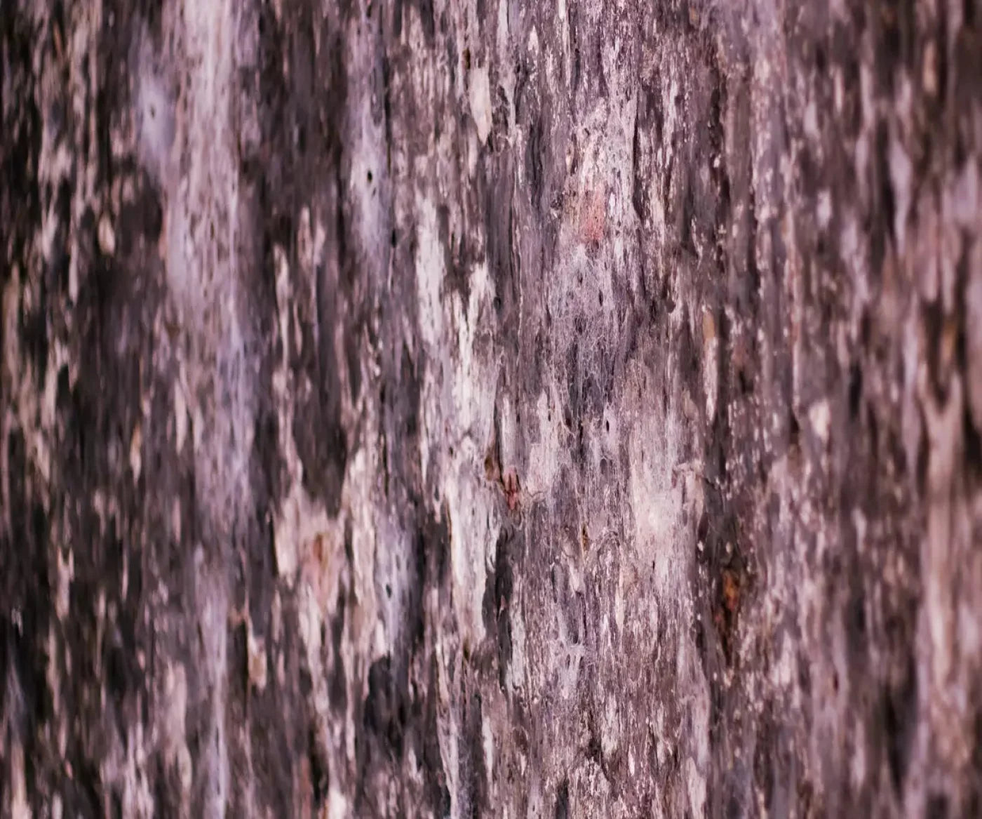 Breach 5X42 Fleece ( 60 X 50 Inch ) Backdrop