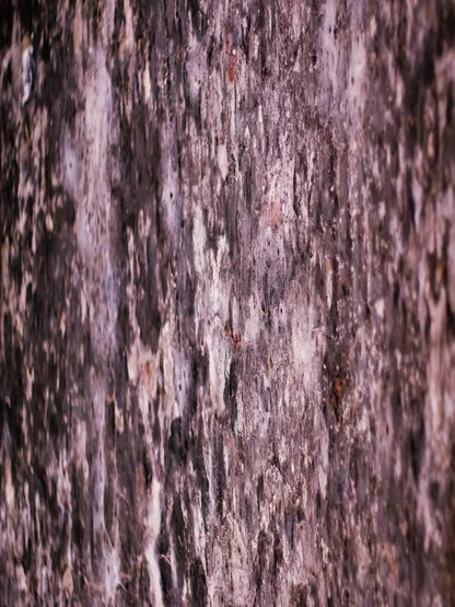 Breach 5X7 Ultracloth ( 60 X 84 Inch ) Backdrop