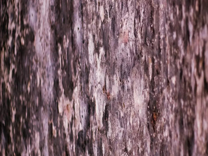 Breach 68X5 Fleece ( 80 X 60 Inch ) Backdrop