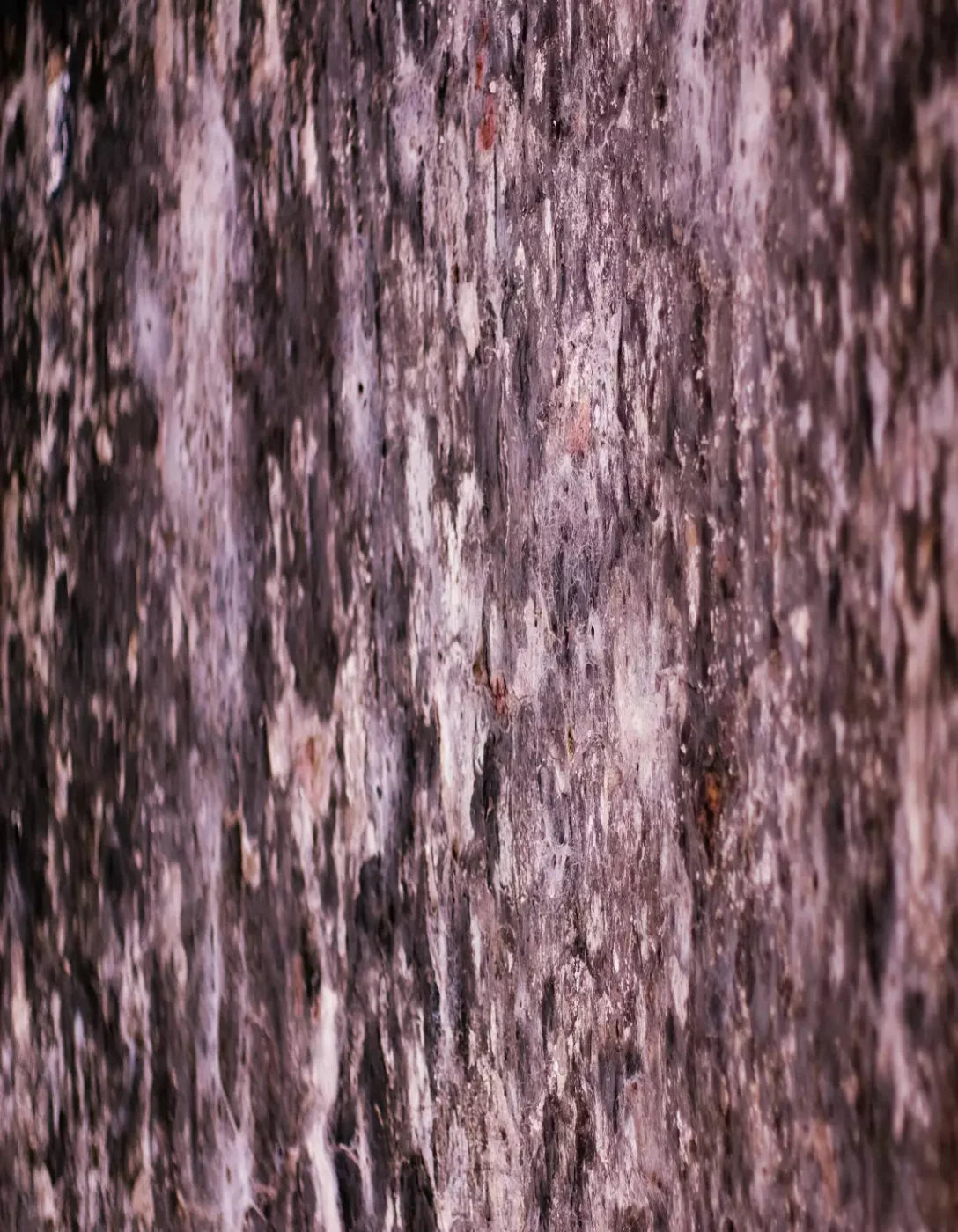Breach 6X8 Fleece ( 72 X 96 Inch ) Backdrop