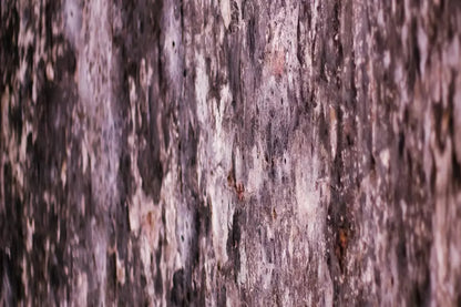 Breach 8X5 Ultracloth ( 96 X 60 Inch ) Backdrop