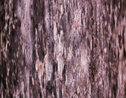 Breach 8X6 Fleece ( 96 X 72 Inch ) Backdrop
