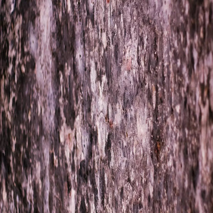 Breach 8X8 Fleece ( 96 X Inch ) Backdrop