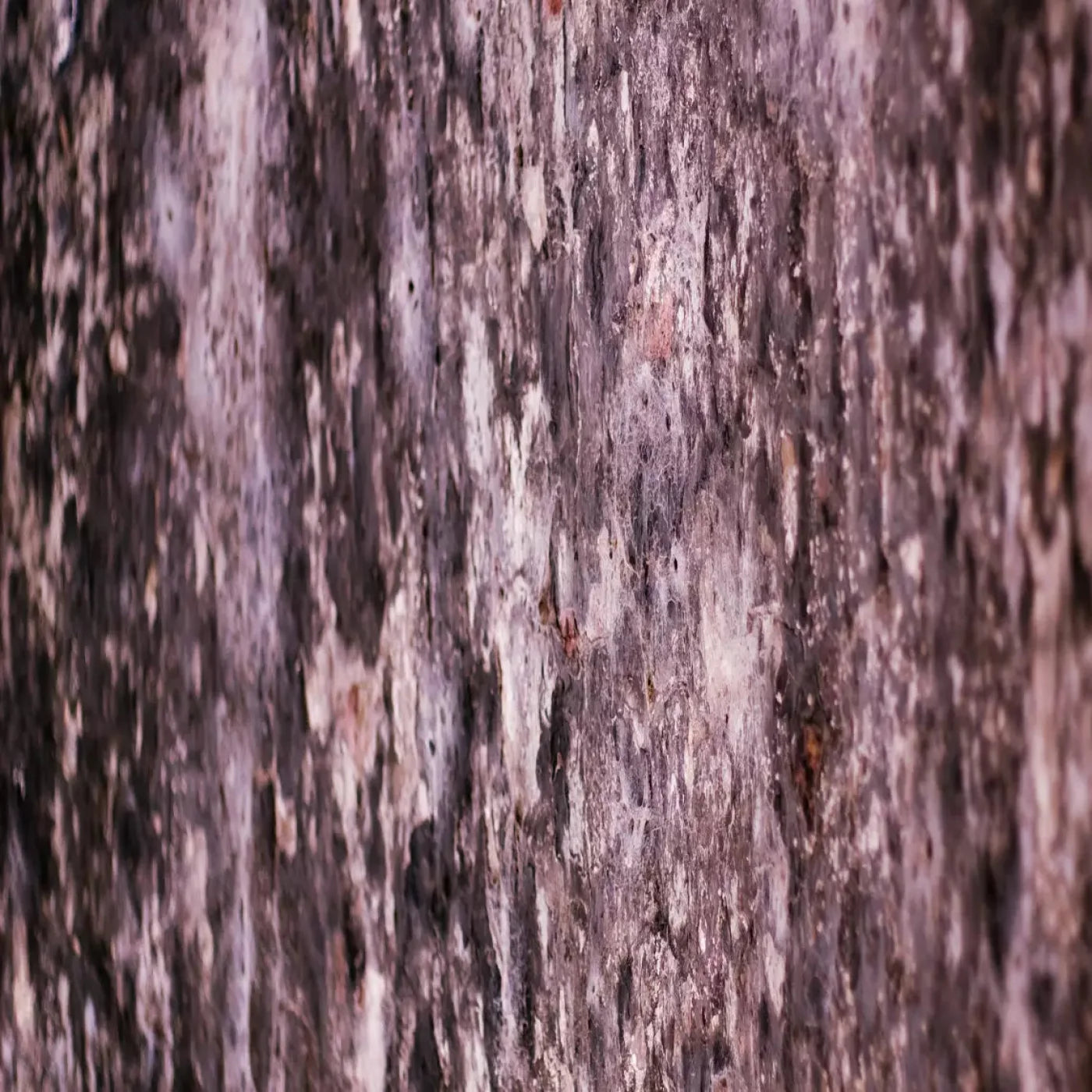 Breach 5X5 Rubbermat Floor ( 60 X Inch ) Backdrop