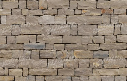 Brick Block 12X8 Ultracloth ( 144 X 96 Inch ) Backdrop