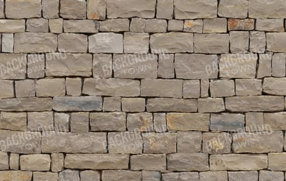 Brick Block 16X10 Ultracloth ( 192 X 120 Inch ) Backdrop