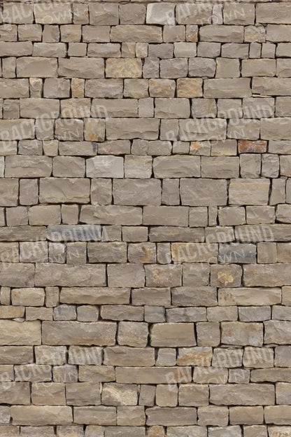 Brick Block 5X8 Ultracloth ( 60 X 96 Inch ) Backdrop