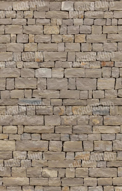 Brick Block 8X12 Ultracloth ( 96 X 144 Inch ) Backdrop