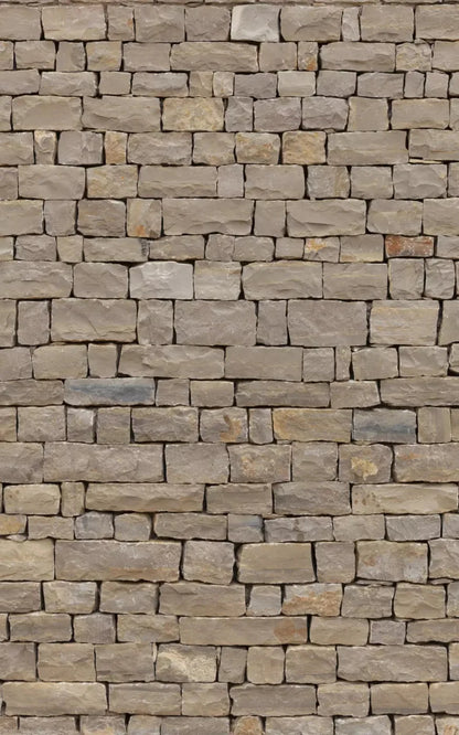 Brick Block 9X14 Ultracloth ( 108 X 168 Inch ) Backdrop