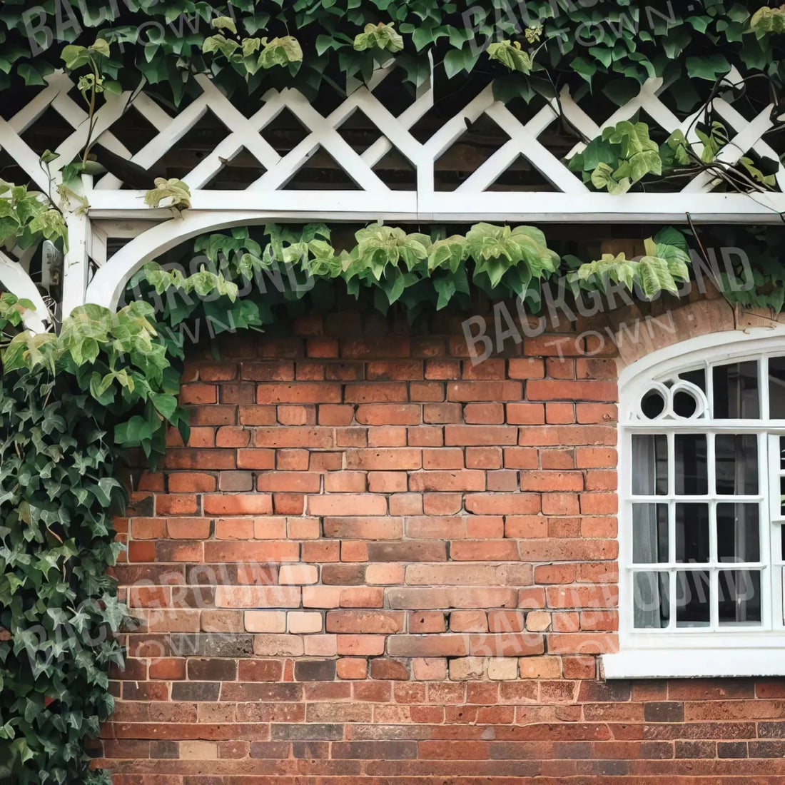 Brick wall with ivy trellis Backdrop for Photography