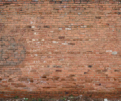 Brick Wall 5X42 Fleece ( 60 X 50 Inch ) Backdrop