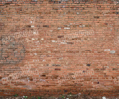 Brick Wall 5X42 Fleece ( 60 X 50 Inch ) Backdrop