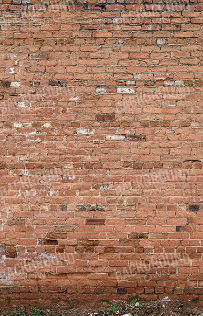 Brick Wall 8X12 Ultracloth ( 96 X 144 Inch ) Backdrop