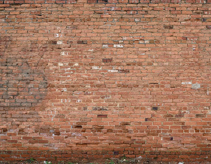 Brick Wall 8X6 Fleece ( 96 X 72 Inch ) Backdrop