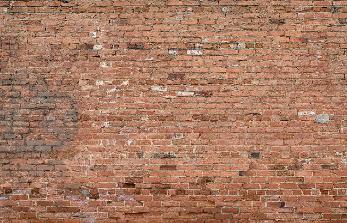 Brick Wall 12X8 Ultracloth ( 144 X 96 Inch ) Backdrop