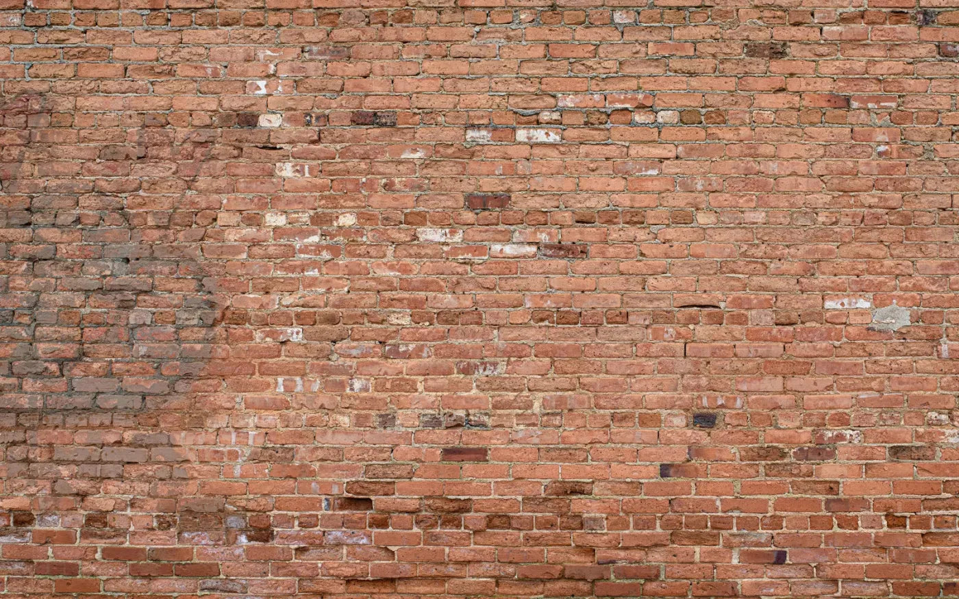 Brick Wall 14X9 Ultracloth ( 168 X 108 Inch ) Backdrop