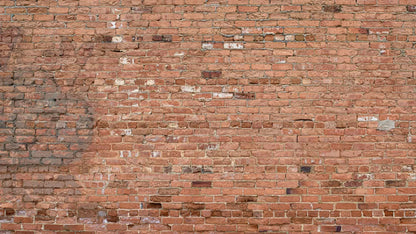 Brick Wall 14X8 Ultracloth ( 168 X 96 Inch ) Backdrop