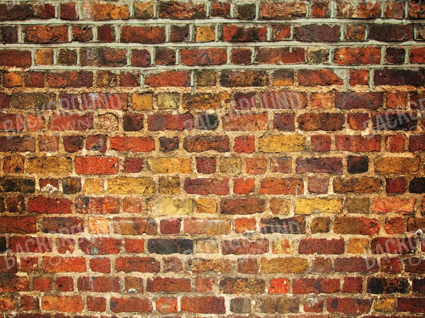 Bricklayer Vivid 68X5 Fleece ( 80 X 60 Inch ) Backdrop