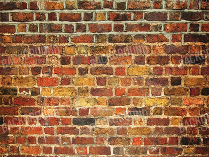 Bricklayer Vivid 68X5 Fleece ( 80 X 60 Inch ) Backdrop