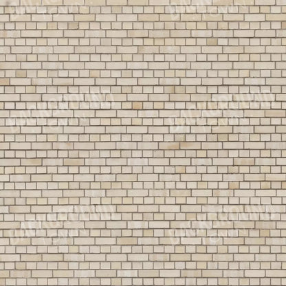 Brickwork 10X10 Ultracloth ( 120 X Inch ) Backdrop