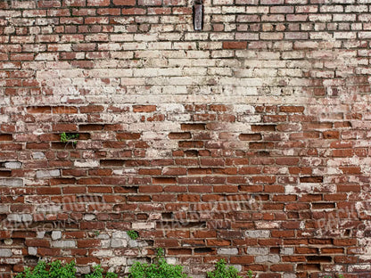 Brickwork 10X8 Fleece ( 120 X 96 Inch ) Backdrop