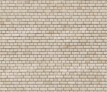 Brickwork 12X10 Ultracloth ( 144 X 120 Inch ) Backdrop