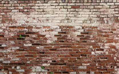 Brickwork 14X9 Ultracloth ( 168 X 108 Inch ) Backdrop