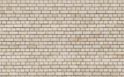 Brickwork 14X9 Ultracloth ( 168 X 108 Inch ) Backdrop